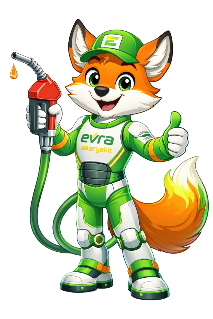 Yazılım ve Web Çözümleri